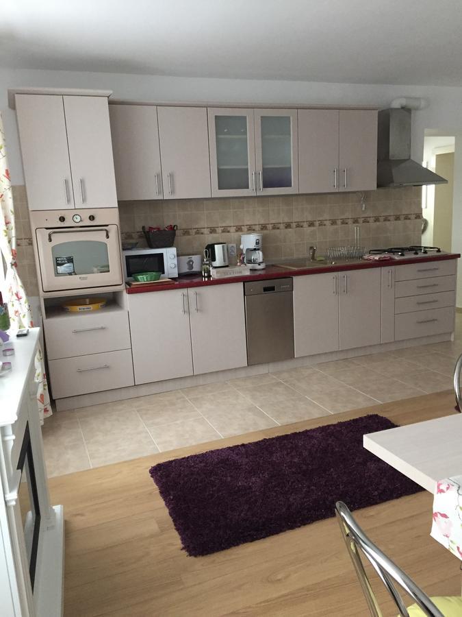 Xenopol Grand Studio Apartment Sibiu Ngoại thất bức ảnh