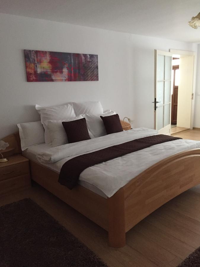 Xenopol Grand Studio Apartment Sibiu Ngoại thất bức ảnh