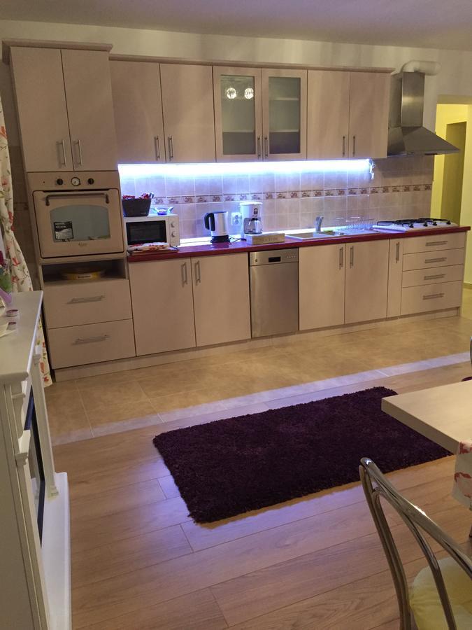 Xenopol Grand Studio Apartment Sibiu Ngoại thất bức ảnh